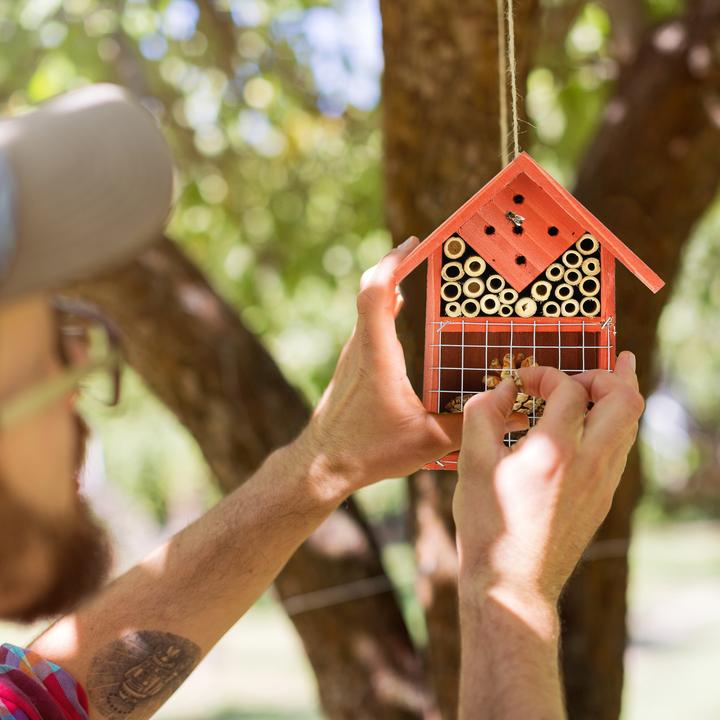 Productafbeelding Relaxdays Insectenhotel (Bijen, Kantenvleugel)
