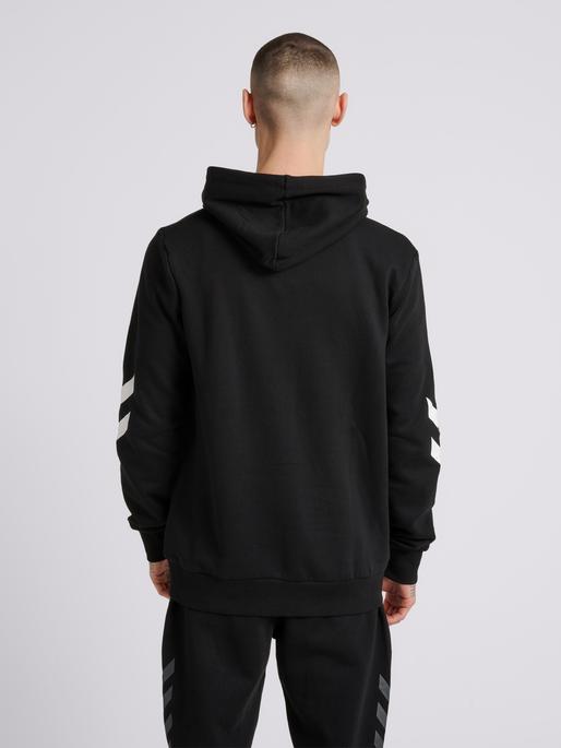 Actual product image hummel Legacy Zip Hoodie (L)