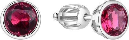 Beneto Silver earrings with shimmering zircon AGUP1716S (L)
