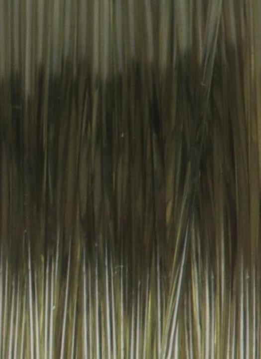 Actual product image Carp Spirit Riga 20 m