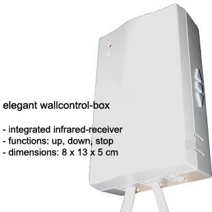 Produktbild Celexon Motor Professional, Leinwand, 1:1 (131.10", 1:1)