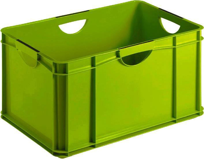 Rotho Systembox A3 (59 x 39 x 31 cm, 60 l)