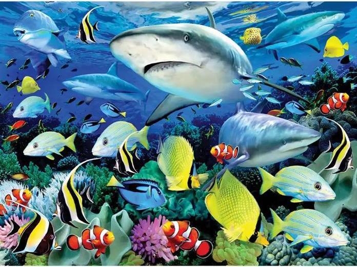 Actual product image Magni Painting by numbers - Junior "Sea life"