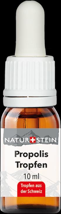 Naturstein Propolis Tinktur (1 Stück, 41 g)