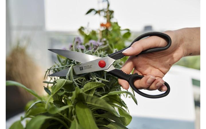 Actual product image Zwilling Twin L (23 cm)