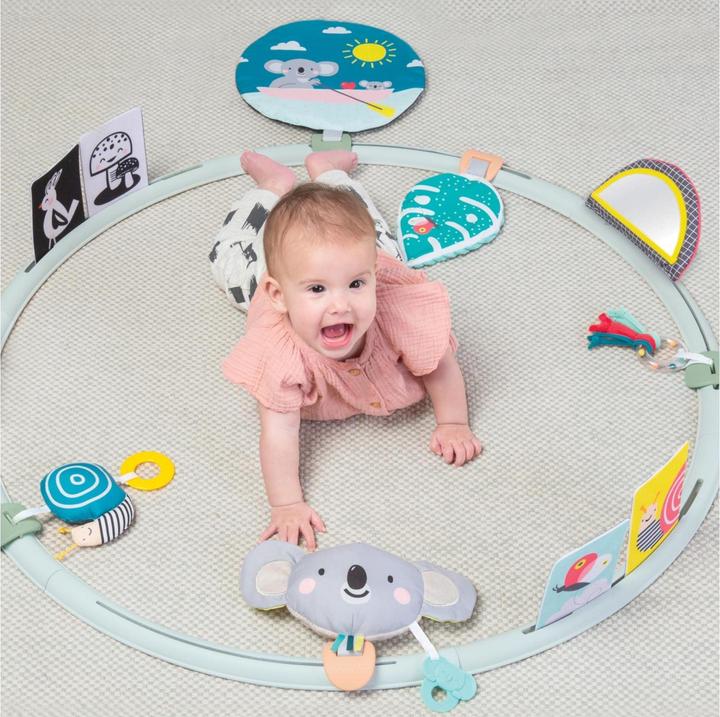 Image du produit Taf Toys Saisir les activités All Around Me
