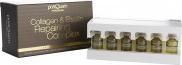 Immagine prodotto Postquam complesso riparatore di collagene ed elastina (12 (3 ml)