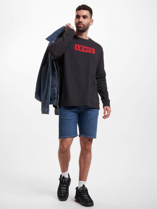 Actual product image Levis Relaxed Graphic Longsleeve - 64313 (S)
