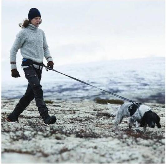 Actual product image Non-Stop Dogwear Bungee Touring Leash 23mm (XXL, Dog, General)