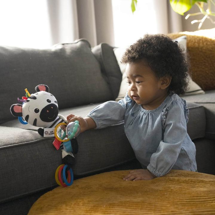 Immagine prodotto Baby Einstein Gioco sensoriale di Zen