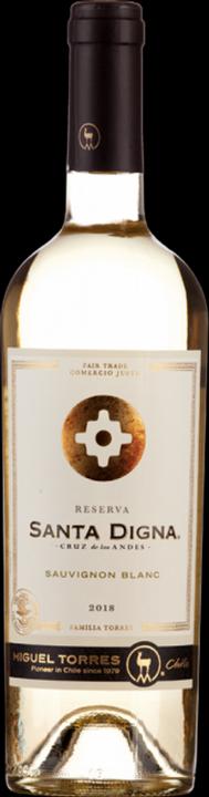 Actual product image Torres Sauvignon Blanc Reserva Santa Digna - Miguel (2023)