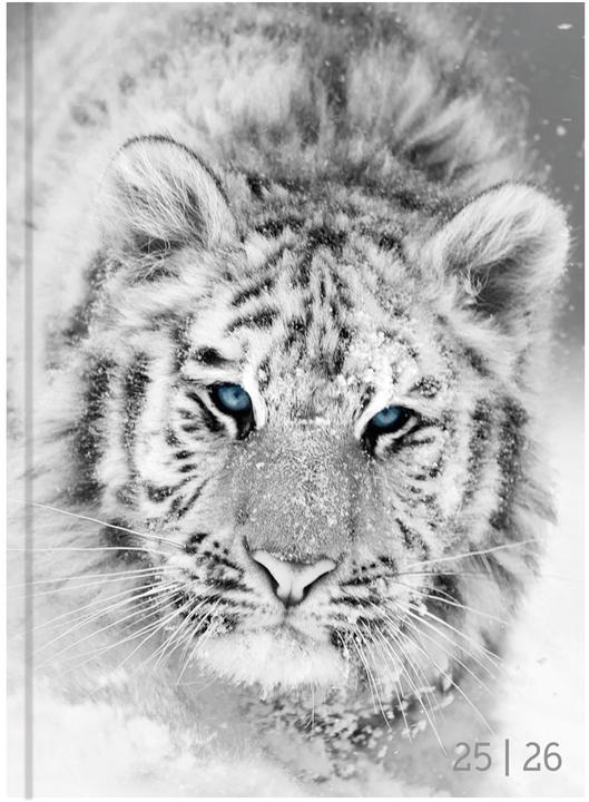 Biella Schüleragenda mydiary (12 x 16,5 cm, Tedesco, Inglese, Italiano)