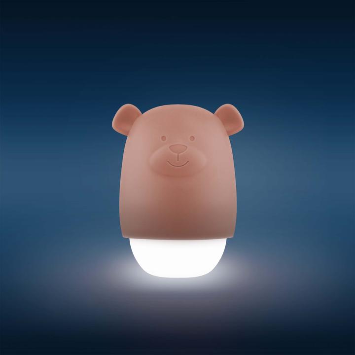 Actual product image ZaZu Benny the Bear Brown