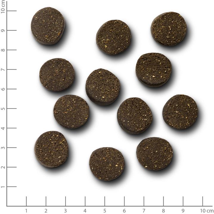 Produktbild Wildes Land 2in1 Snack Mmh Yum Yum Belly (300g) (Adult, 1 Stk., 300 g)
