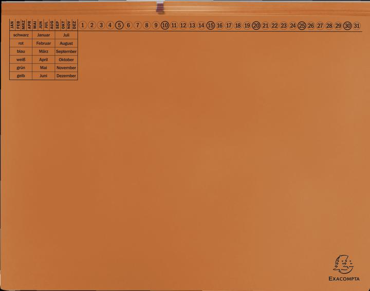 Actual product image Exacompta 25 hanging files Exaflex cardboard orange 2 x commercial stapling (A4, 200 x)