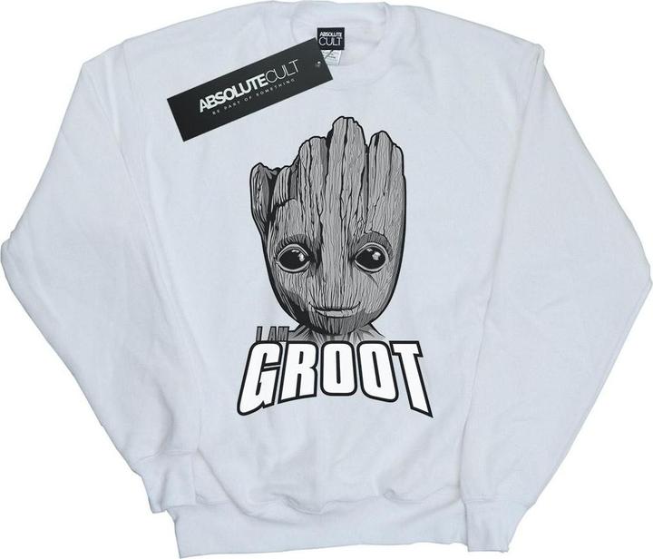 Guardians Of The Galaxy Groot Face Sweatshirt Jungen