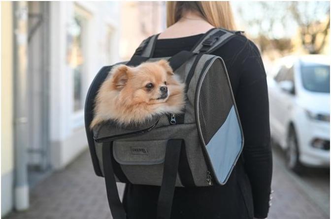 Actual product image Kerbl Dog Backpack Vacation (Dog, Foldable, Washable)