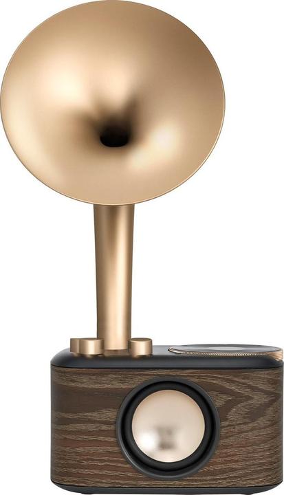 Produktbild Sangean WR-45X Gold Radio VHF (FM) AUX, Bluetooth Oplaadbaar Zwart, Goud (FM, VHF, Bluetooth)