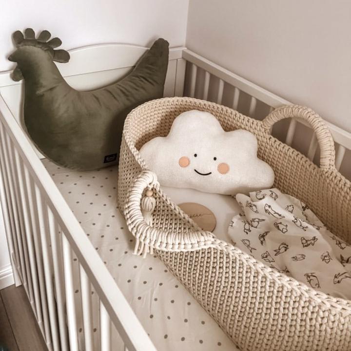 Image du produit Lil Things Couffin Moïse avec matelas