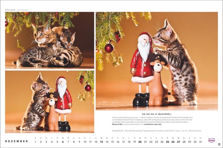 Produktbild Whiskas Katzenkalender 2026 (45 x 30 cm, Harter Einband, Deutsch)
