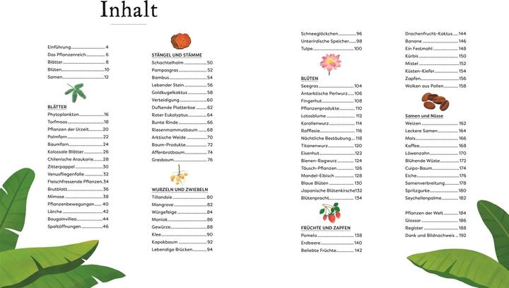Produktbild Grosse und kleine Schätze der Natur. Pflanzen (Deutsch, Ben Hoare, 2023)