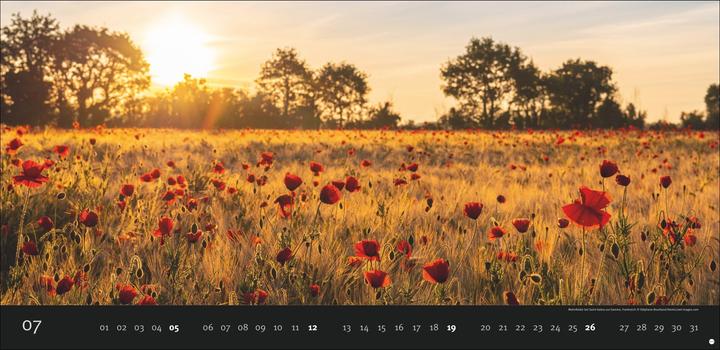Image du produit Magic Moments Panoramakalender 2026 (68 x 33 cm, Couverture rigide, Allemand)