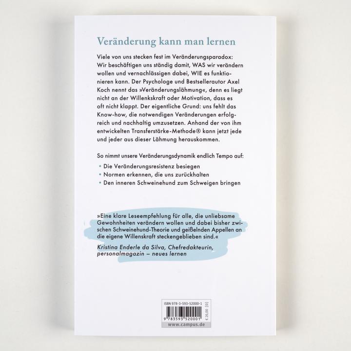 Produktbild Morgen fang ich aber wirklich an! (Deutsch, Axel Koch, 2025)