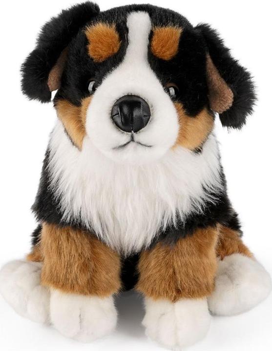 Produktbild Living Nature Berner Sennenhund (30 cm)