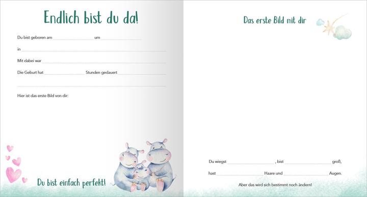 Image du produit Babyalbum
