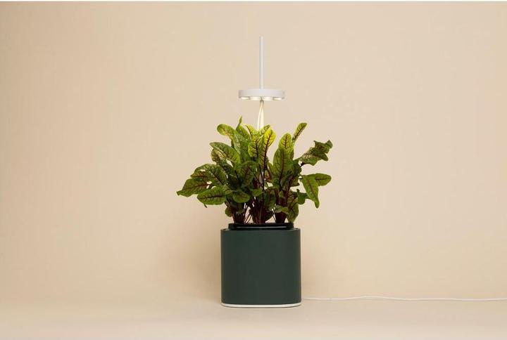 Immagine prodotto Prêt à Pousser Herb Pot Nano, verde foresta (13.50 cm)