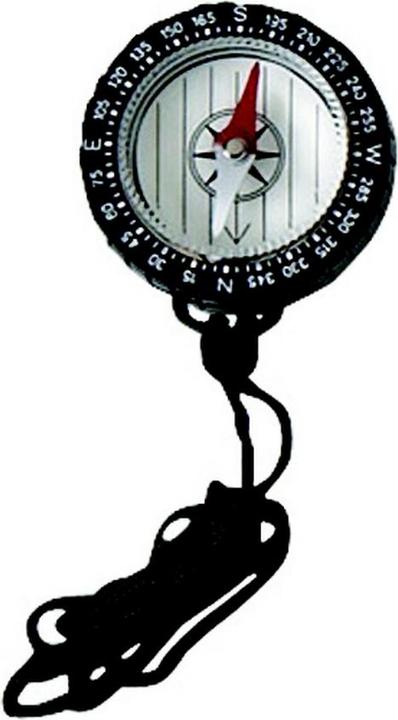 Hasbro Simple Tremblay compass