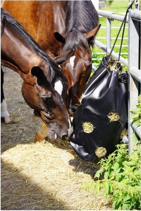 Immagine prodotto Kerbl Borsa del fieno