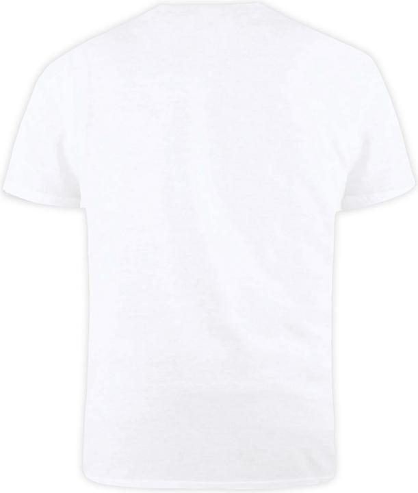 Immagine prodotto DUKE D555 Tshirt Kingsize Signature1 in cotone (4XL)