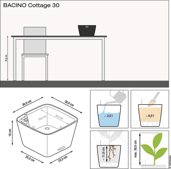 Actual product image Lechuza BACINO Cottage (30 cm)