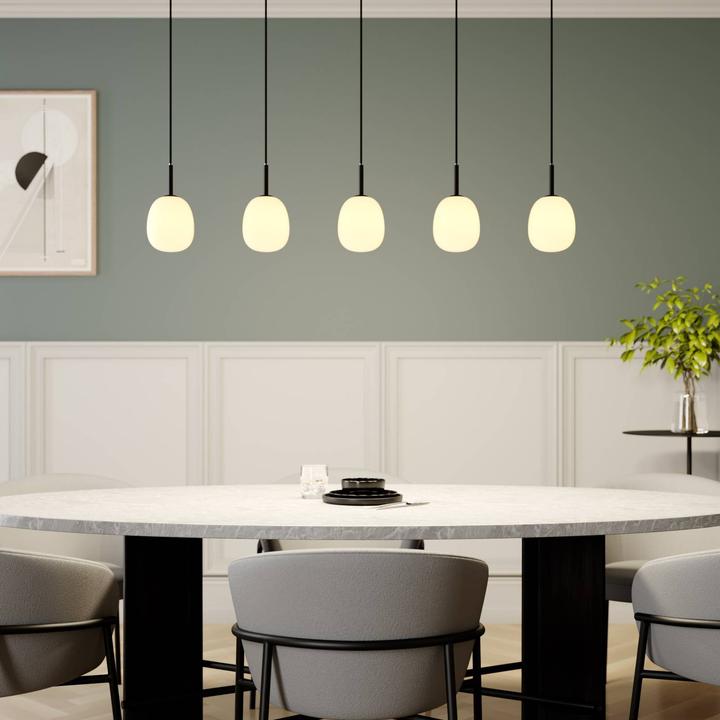 Image du produit Lindby Etiena 5 Lampe à suspension opale/noire (G9)