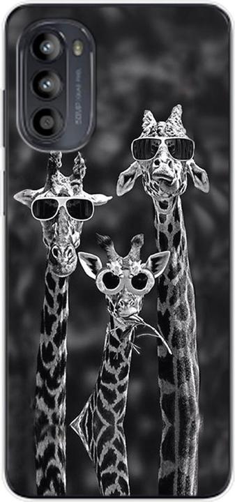 3 Giraffen