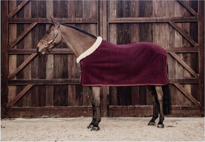 Actual product image Kentucky Horsewear Fleece Show Sweat Rug (155 cm)