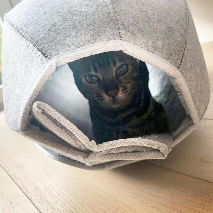 Produktbild CanadianCat Katzenhöhle in Kugelform, L (Katze)