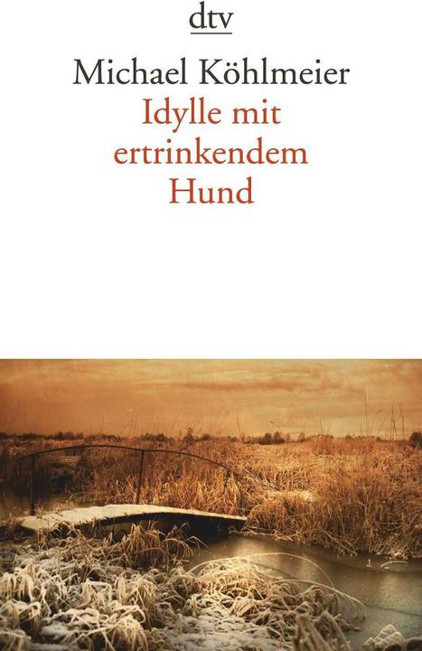Produktbild Idylle mit ertrinkendem Hund (Deutsch, Michael Köhlmeier, 2010)