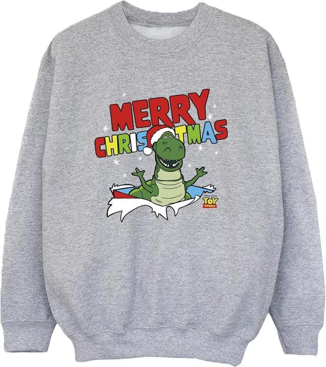 Immagine prodotto Disney Toy Story Rex Christmas Burst Felpa Ragazzi (140, 146)