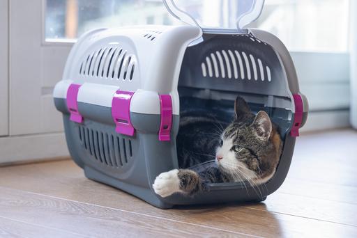 Immagine prodotto Beeztees Bz Travel Box Rhino Grigio/Rosa 51 (Cane, Pieghevole, Riflettori)