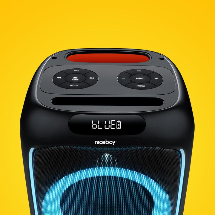 Actual product image Niceboy PARTY Boom 80W (10 h, Electrical connection)