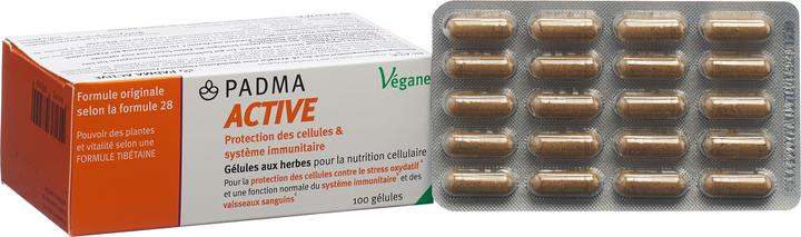 Actual product image Padma 28 active (100 Piece, Capsules, 87 g)