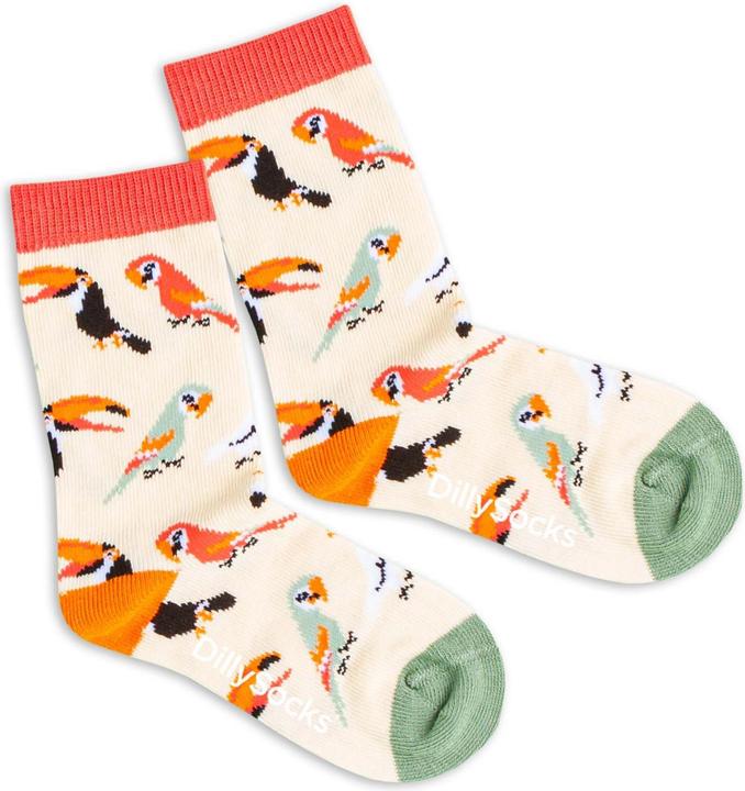 DillySocks lil Sand Aviary (Einzelpack, 19 - 22)