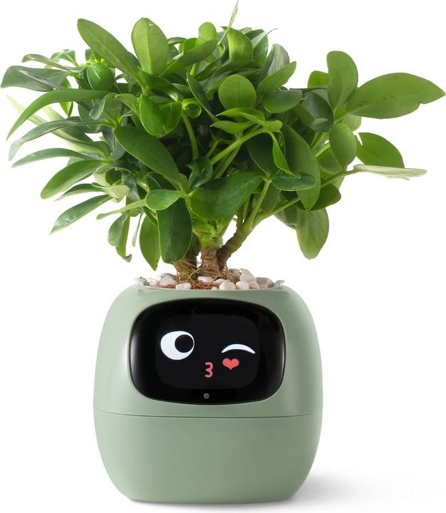 Image du produit Plantsio Ivy Smart Planter (10.01 cm)