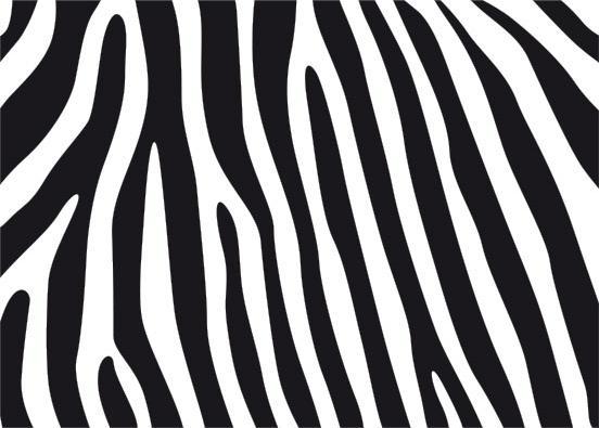 Immagine prodotto Trenddeko Motivo a zebra 1 (40 x 28 cm)