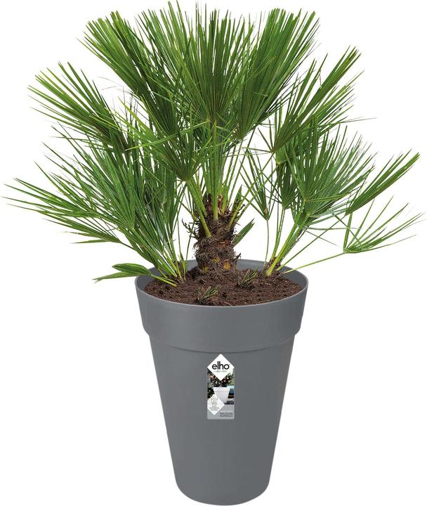 Produktbild Elho Loft Urban (33.50 cm)