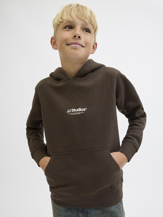 Actual product image Jack & Jones Jjesoho Sweat Hood Noos Jnr (164)