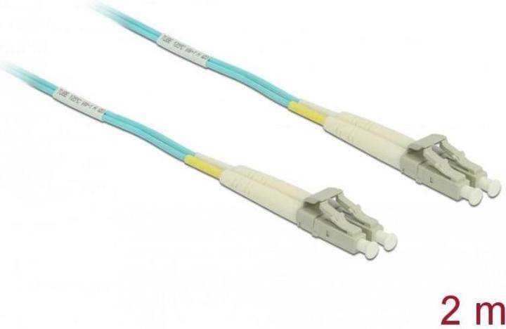 Image du produit Delock Câble réseau (CAT6, 2 m)