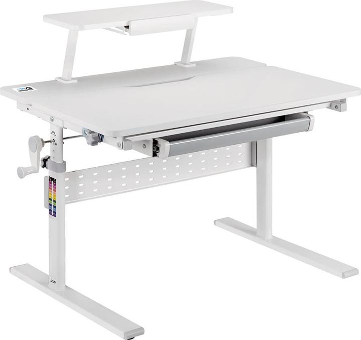 Ergo Office Kinderschreibtisch höhenverstellbar grau max 40kg 900x600mm ER-483 (900 x 600 mm)